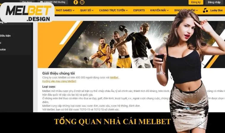 Tổng Quan Nhà Cái MELBET